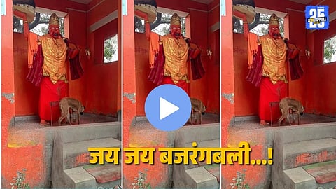Viral Video