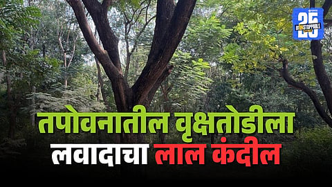 Tapovan Tree Cutting Case