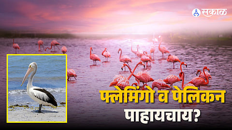 Chilika Lake Odisha