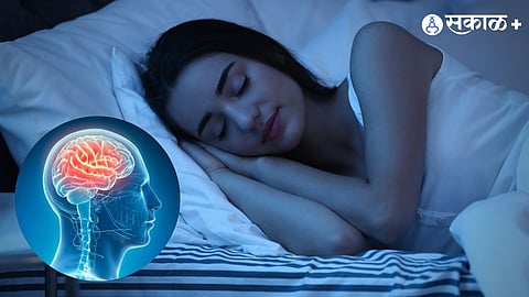 Brain function During Sleep NREM REM 