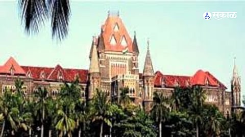 Serious Concern Over Mining in Tadoba; High Court Allows Time to File PIL