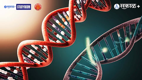 Gene Editing Controversy