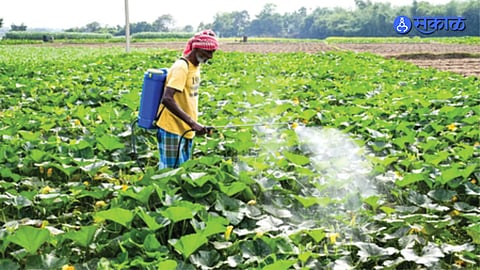 Agriculture