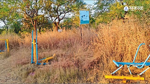 Forest Department