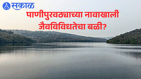 Dhamapur Lake, the primary water source
