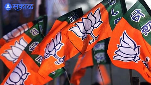 bjp party