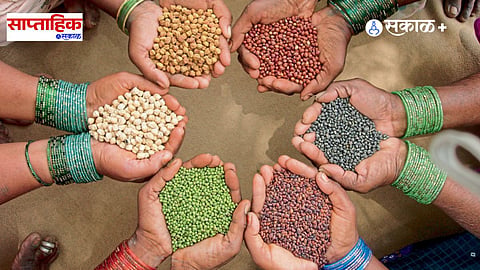 India Pulses Import
