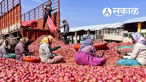 Onion Price Crash