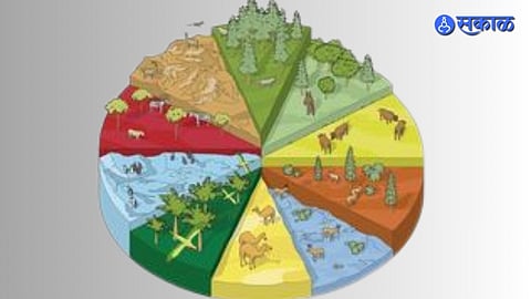 Tribal Land Scheme