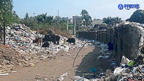 Dumping