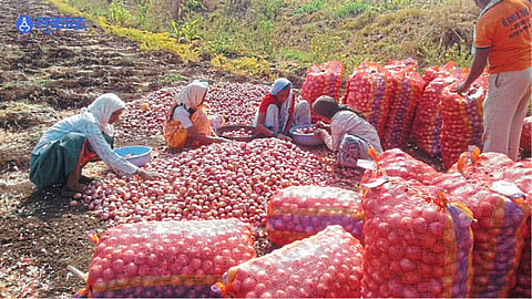 onion are in bengaluru Market 