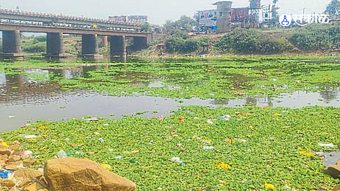 Panchganga river surface