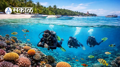 Malgund Beach Scuba Diving Project