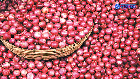 Onion 
