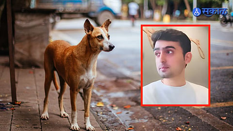 Mumbai : रेबीज झाल्याच्या भीतीनं ३० वर्षीय तरुणानं आयुष्य संपवलं; भटक्या कुत्र्याच्या चाव्यानंतर घेतलेलं एकच इंजेक्शन