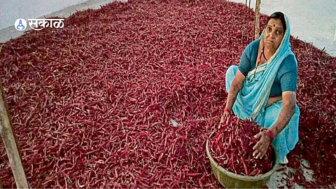 Farmers showcasing freshly