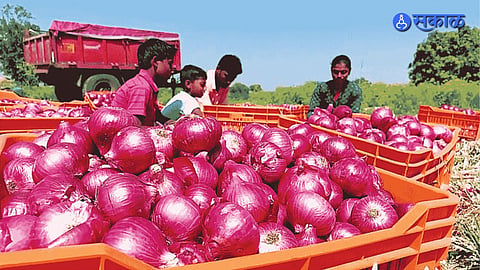 Onion Export
