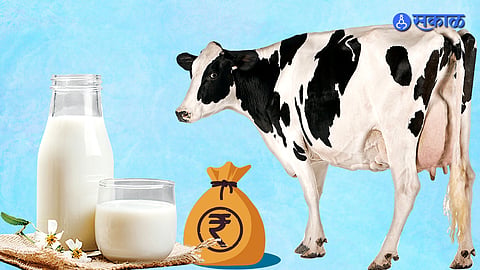 Dairy Business