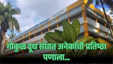 Gokul Dudh Sangh Election
