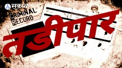 Tadipaar