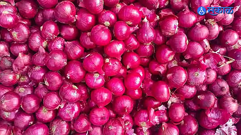 Onion