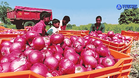 Lasalgaon Onion Market