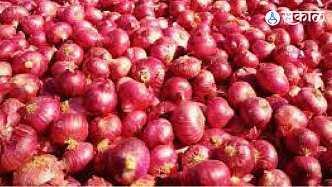 Onion