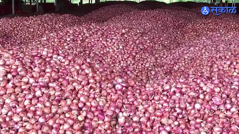 Onion