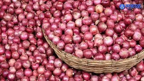 Onion