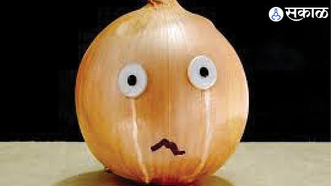 Onion