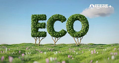 Environmental Cost