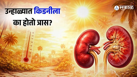 Extreme Summer Heat Increase Kidney Problems 