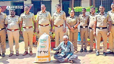 Police seize cannabis plants 