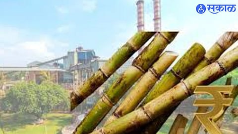 Cane Bills Delayed in Solapur; Farmers Struggle as Sugar Industry Payments Lag