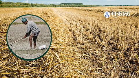 Nanded Farmers