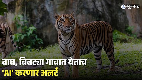 AI Alert System For Tiger And Leopard Movement Started In Nagpur 