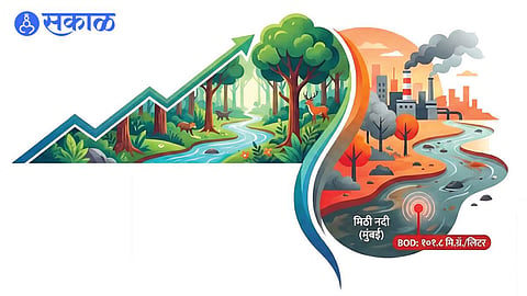 Mixed Environmental Report