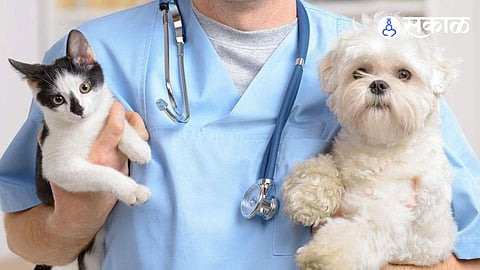 Veterinary Hospital
