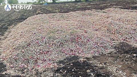 Onion Issue