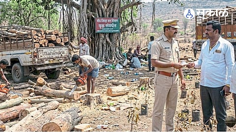 Beed News