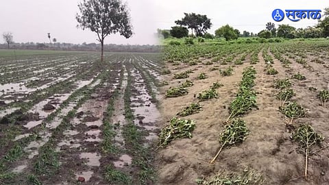 Monsoon