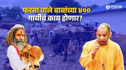 Farsawale Baba