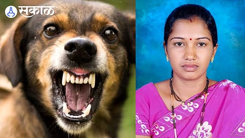 archana kakade
