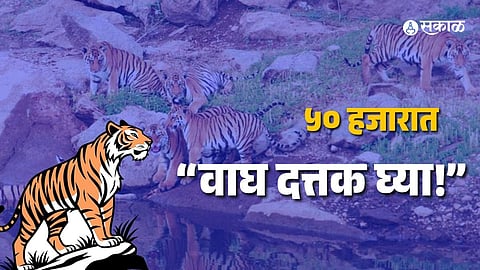 Dehradun Zoo
