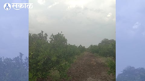 Vidarbha heatwave