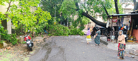 तळेगाव दाभाडे परिसराला 
वादळी वाऱ्यासह गारांचा मारा