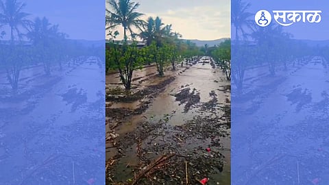 unseasonal heavy rain in uruli kanchan
