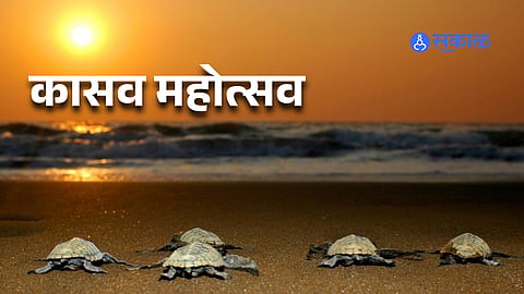 eco tourism