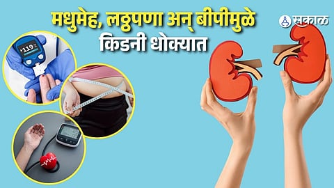 Kidney Health