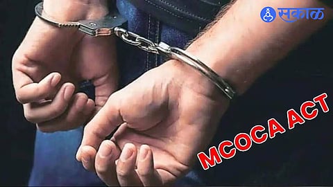 mcoca crime